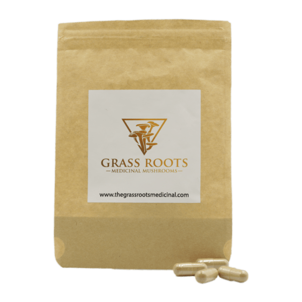 Roots – Medicinal Mushrooms – Microdose Capsules