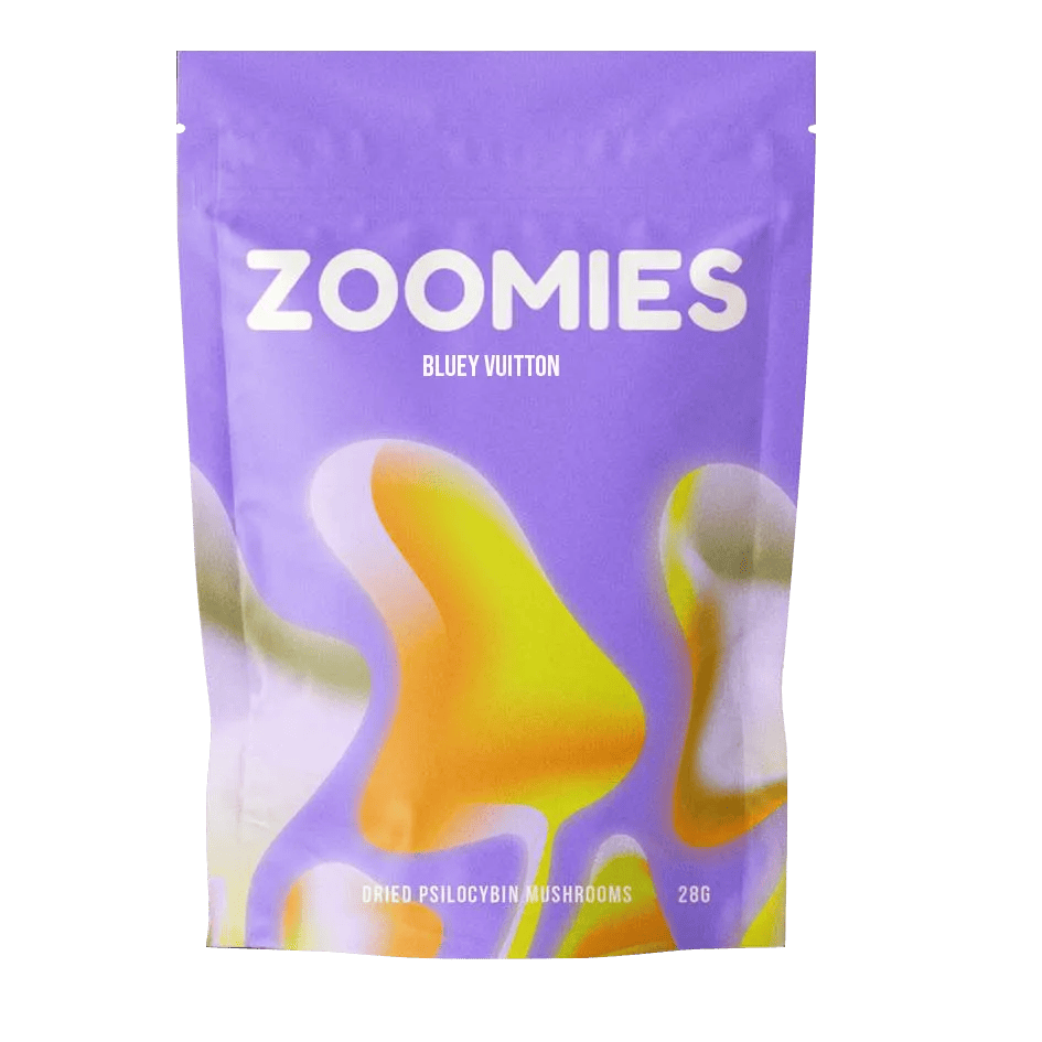 pack of bluey vuitton mushroom