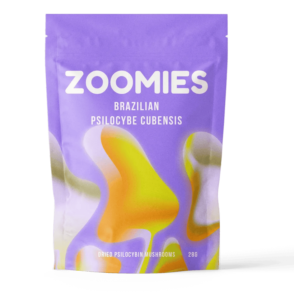 Brazilian-Psilocybe-Cubensis brazilian-psilocybe-cubensis
