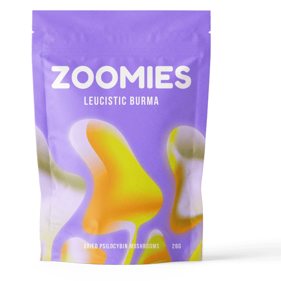 Leucistic-Burma leucistic-burma